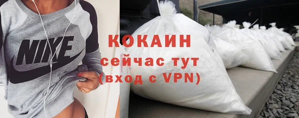 стаф Аркадак