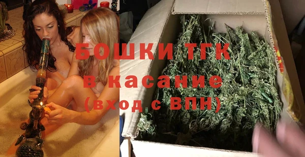 стаф Аркадак
