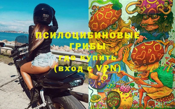 стаф Аркадак