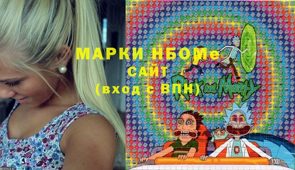 стаф Аркадак