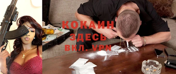 стаф Аркадак