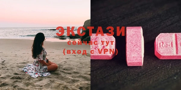 стаф Аркадак