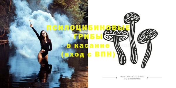 молекула духа Арсеньев