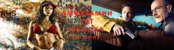 стаф Аркадак