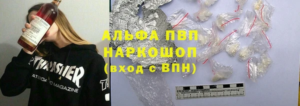 молекула духа Арсеньев