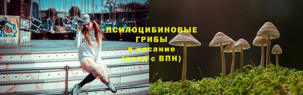 молекула духа Арсеньев