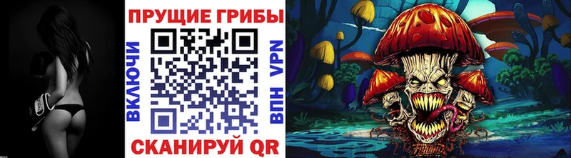 Купить где  Тосно  Псилоцибиновые грибы Psilocybine cubensis 