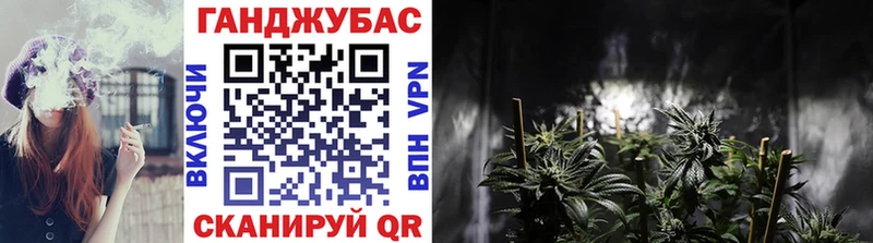 Купить где  Тосно  Канабис сатива 
